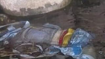 بعد العثور عليهما مقتولين.. نيابة فارسكور تأمر بانتداب الطبيب الشرعي لفحص جثامين الطفلين