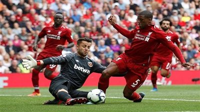 فينالدوم: ليفربول يستحق التضحية الهجومية