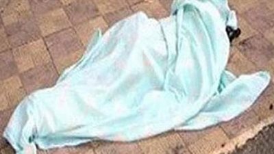 من بينهم قتل طفلي الدقهلية.. تعرف على أبرز الأحداث × أسبوع