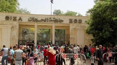 رشاد رحيم: حديقة الحيوان بأكملها مراقبة بالكاميرات