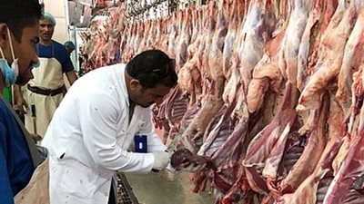 عاجل..اخبار السعودية اليوم | مسلخ القطيف يستقبل 2544 ذبيحة خلال أيام العيد