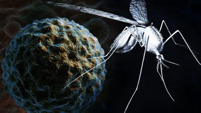 52 حالة وفاة فى أوروبا بسبب فيروس غرب النيل