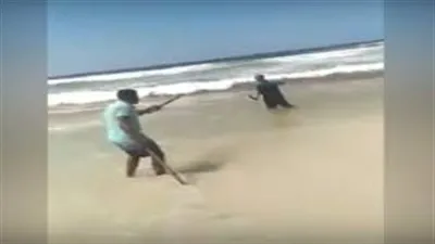 بعد واقعة الإسكندرية.. 