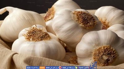 6 فوائد مذهلة للثوم .. تعرف عليها (فيديو)