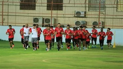 الرائد السعودي يعين 