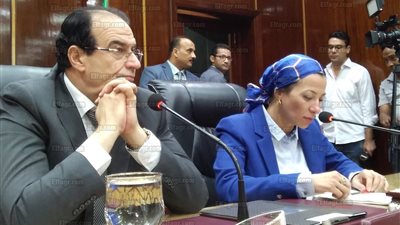 وزيرة البيئة: 19 مشروعا لتوفير فرص عمل للشباب في المخلفات الزراعية