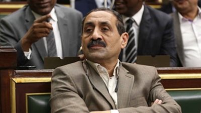 برلماني يطالب بتشريع لتقنين العمالة المنزلية