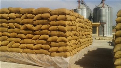 هيئة السلع التموينية  تشتري 350 ألف طن من القمح