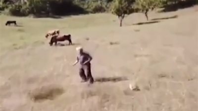 هلع مزارع تركي یرى طائرة 