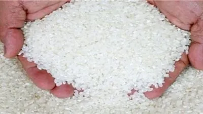 شعبة الأرز : زيارة الرئيس الفيتنامي أسفرت عن توريد مليون طن أرز أبيض لمصر 