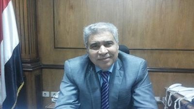 تعرف على ابن نجع حمادي محافظ المنيا الجديد