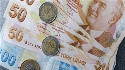 الدولار الأمريكي يواصل صعوده أمام الليرة التركية