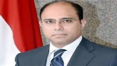 متحدث الخارجية يكشف الهدف من حركة السفراء الجدد (فيديو)