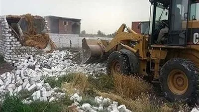 3 أشخاص يقطعون 340 شجرة وجرف 10 قراريط بـ