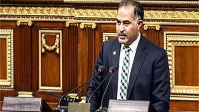 وكيل النواب: 