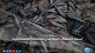 أسعار الأسماك اليوم الأحد 2ـ 9 ـ 2018 بمحافظة الإسماعيلية