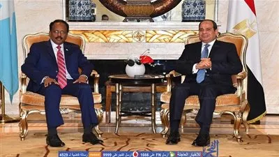 الرئيس الصومالي يؤكد لـ