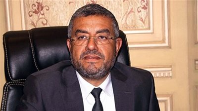 برلماني: 50 ألف شاب شاركوا بدوري 