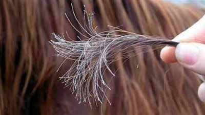 عالجي الشعر التالف من الصبغة بهذه الخلطات السحرية