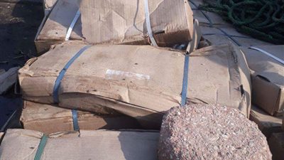 ضبط ربع طن سمك بساريا فاسد في السويس 