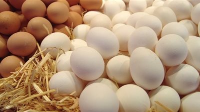 6 جنيهات تراجع فى أسعار كرتونة البيض خلال تعاملات اليوم الأثنين 