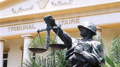 غدا.. الحكم على المتهمين بالخلايا العنقودية 