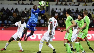 تفاصيل مباراة الجزائر وجامبيا في التصفيات المؤهلة لأمم إفريقيا