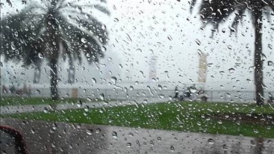 عاجل.. أخبار السعودية اليوم | الأمطار الغزيرة تغسل شوارع مدينة الطائف (فيديو)