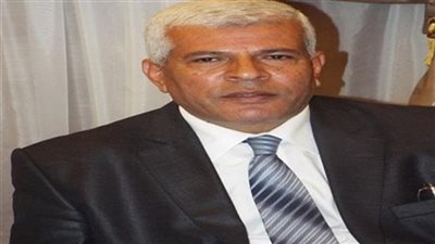 نقيب الزراعين: إنتاج مصر من الفاكهة يصل إلى 12 مليون طن سنويا