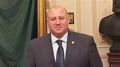 وكيل رياضة البرلمان: زيادة أعداد الجمهور في المدرجات مسؤولية يتحملها الجميع 