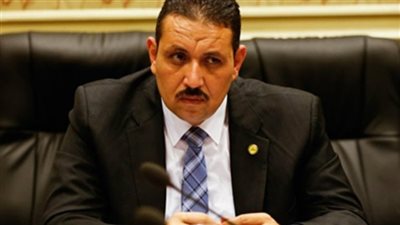 برلماني يطالب بزيادة أعداد الجماهير في المدرجات إلى 10 آلاف مُشجع بشكل تدريجي