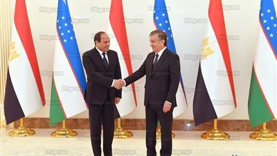 بدء أعمال القمة المصرية الأوزبكية بين السيسي ونظيره ميرضيائيف