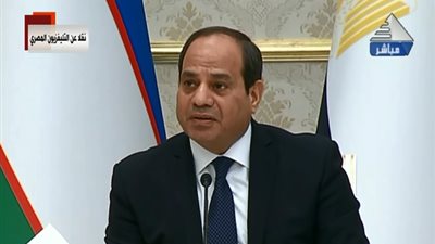 السيسي: سنعمل على مزيد من توثيق العلاقات بين مصر وأوزبكستان