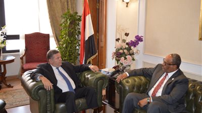 وزير قطاع الأعمال العام يبحث مع سفير الإمارات بالقاهرة تعزيز التعاون المشترك