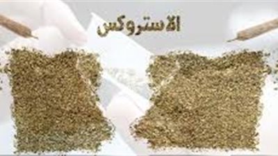 القبض على 4 عمال بحوزتهم 850 جرام استروكس بالفيوم