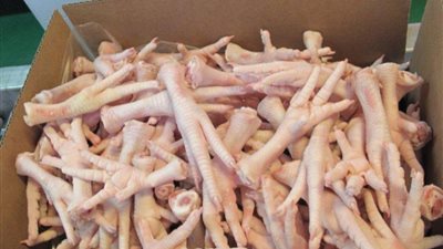 ضبط مصنع غير مرخص بالقاهرة لإعداد أرجل الدواجن