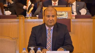 خالد حنفي: الترويج لعدة مشروعات ريادية للتنمية المستدامة خلال القمة العربية الاقتصادية