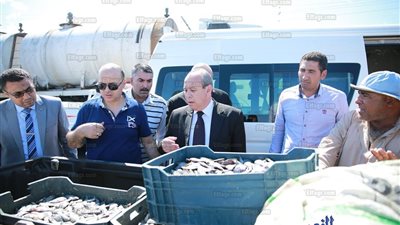محافظ كفر الشيخ  يأمر بالتحفظ على سيارة مُحملة بـ 19 بوكسة أسماك    