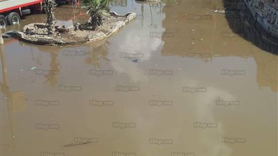 غرق منطقة الجمهورية بالمحلة الكبرى بسبب انفجار ماسورة المياه الرئيسية (صور)