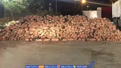 ضبط ٢ طن بانجو بسيارة نقل بنفق الشهيد أحمد حمدي بالسويس (صور)
