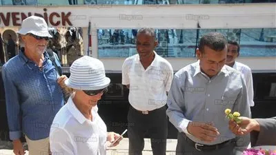 وصول فوج سياحي متعدد الجنسيات لزيارة المنطقة الأثرية بعرابة أبيدوس في سوهاج (صور)