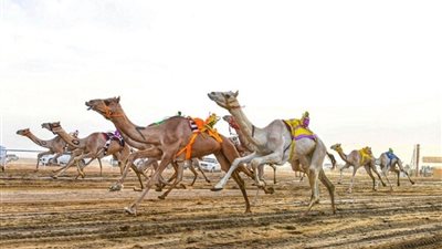 عاجل - السعودية | الأربعاء المقبل..