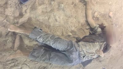 مصرع 11 إرهابيا بالعريش