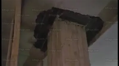 مدرسة بالهرم آيلة للسقوط.. وأولياء الأمور يستغيثون بوزارة التعليم (صور)