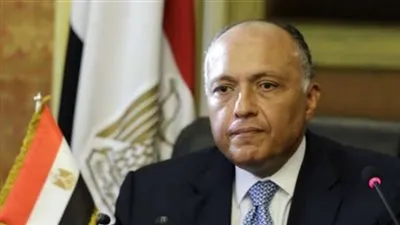 سامح شكري: لا يمكن فصل الشق الإنساني للقضية الفلسطينية عن الشق السياسي