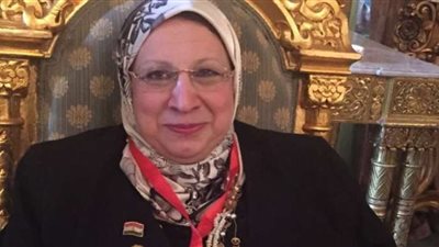 برلمانية: الرئيس السيسي حريص على بناء قاعدة بيانات لكل مواطن