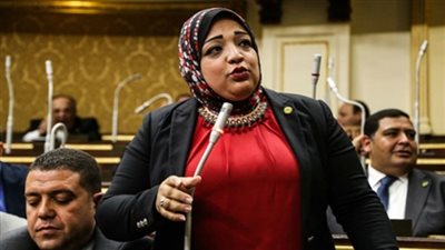 برلمانية تطالب باستغلال المقرات المصرية بالقارة السمراء