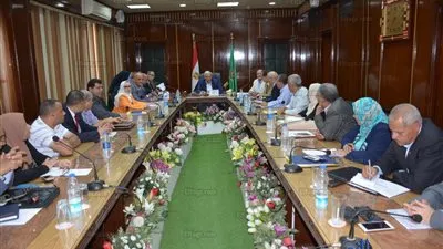 محافظ الدقهلية لـ 