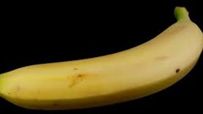 تعرف على فوائد الموز الصحية 
