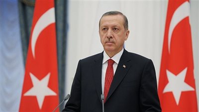 أردوغان يعين نفسه في منصب جديد وصهره نائبًا له